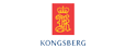 Kongsberg Grupp