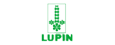 Lupin