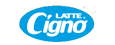 Cigno