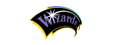 Wizards of the Coast