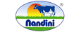 Nandini